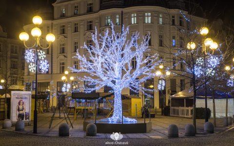 Vánoční trhy [Fotoreport]