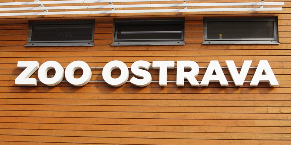 Ostravská Zoo o víkendu překonala loňskou návštěvnost
